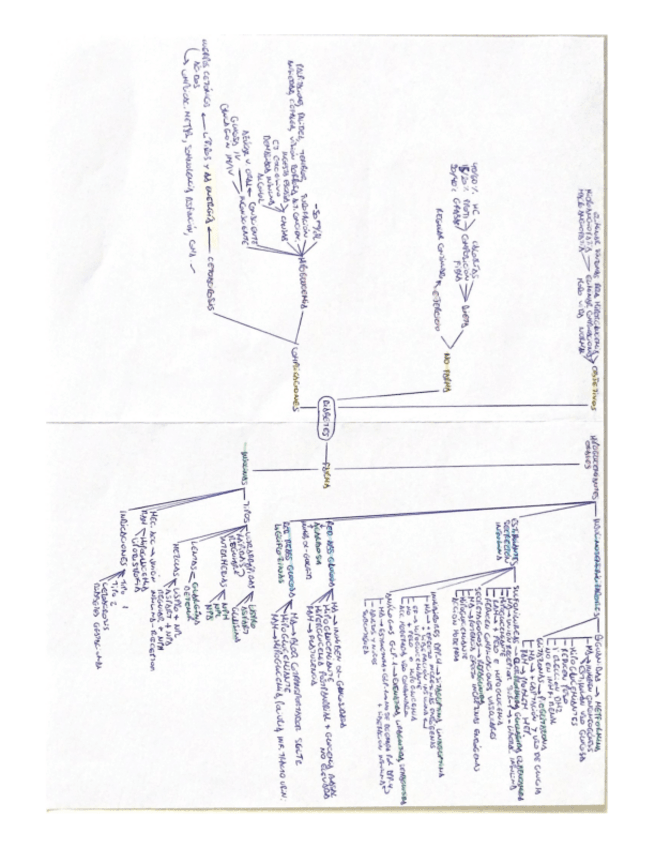 Miniatura del documento DIABETES.pdf