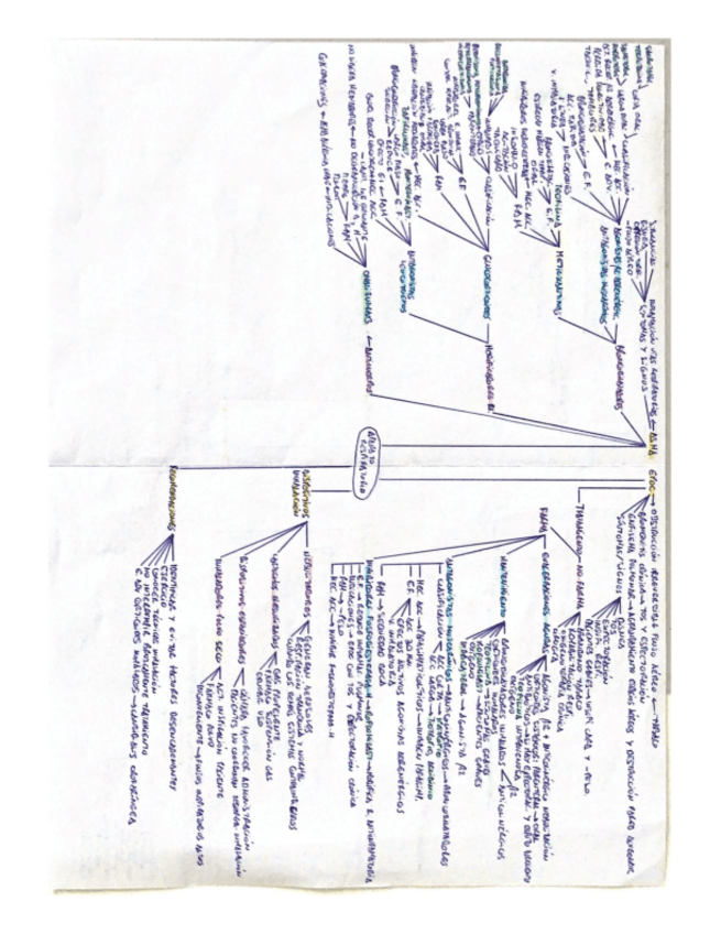 Miniatura del documento APARATO-RESPIRATORIO.pdf