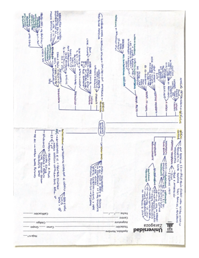 Miniatura del documento AFECCIONES-REUMATICAS.pdf