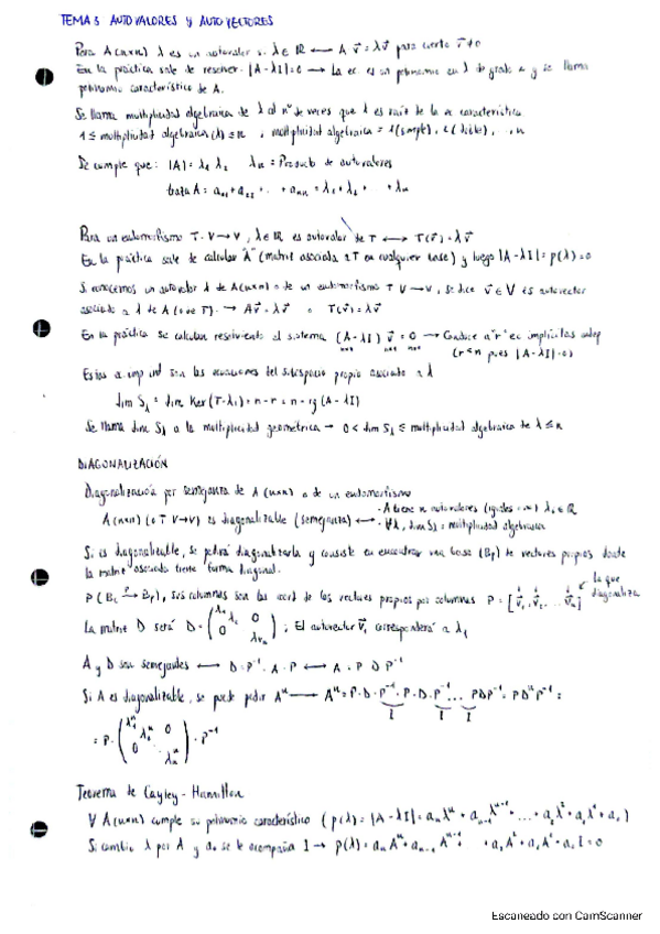 Miniatura del documento TEMA-3.pdf