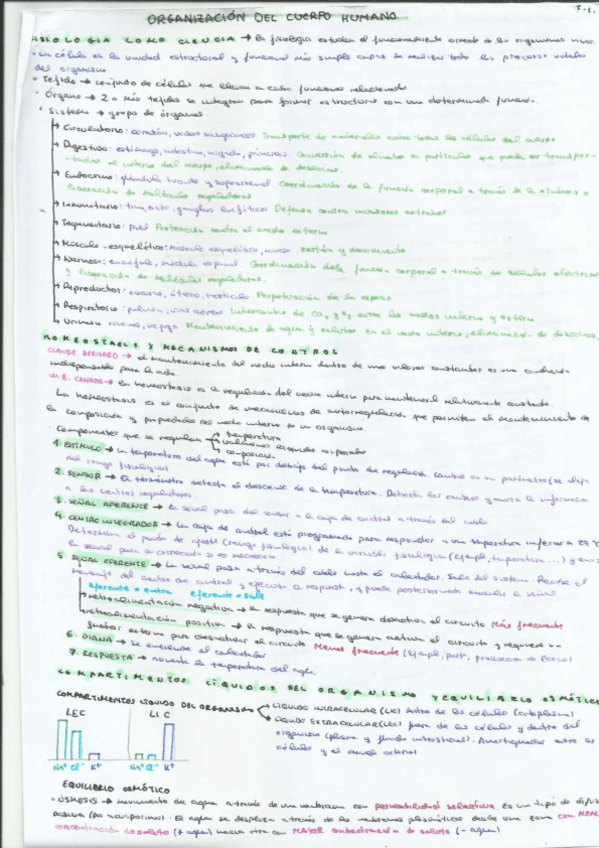 Miniatura del documento RESUMEN-BLOQUE-SISTEMA-NERVIOSO-FISIOLOGIA.pdf