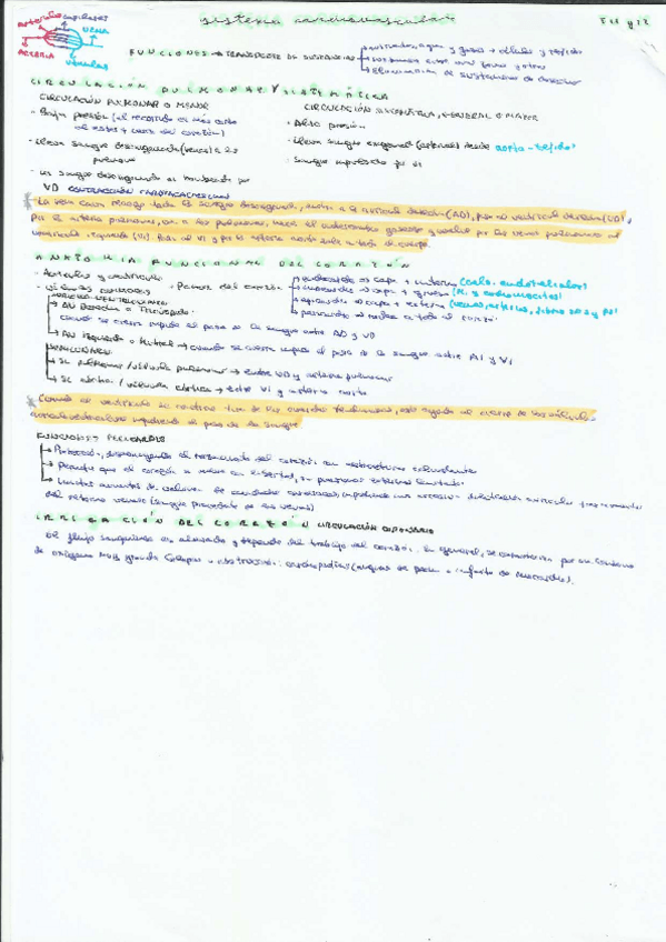 Miniatura del documento RESUMENES-BLOQUE-SISTEMA-CARDIACO-RESIPIRATORIO-RENAL-Y-SANGUINEO.pdf
