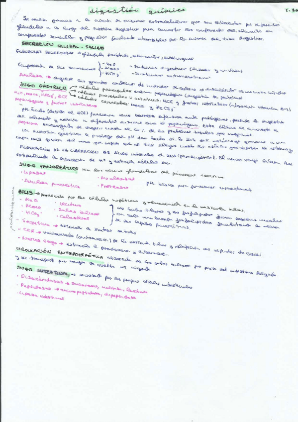 Miniatura del documento RESUMEN-SISTEMA-DIGESTIVO-Y-ENDOCRINO.pdf