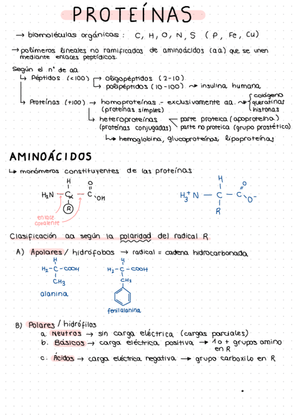 Miniatura del documento 1.4.-Proteinas.-ABAU.pdf