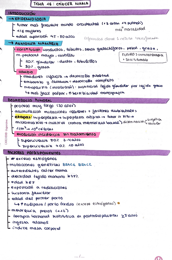 Miniatura del documento Cancer-de-mama.pdf