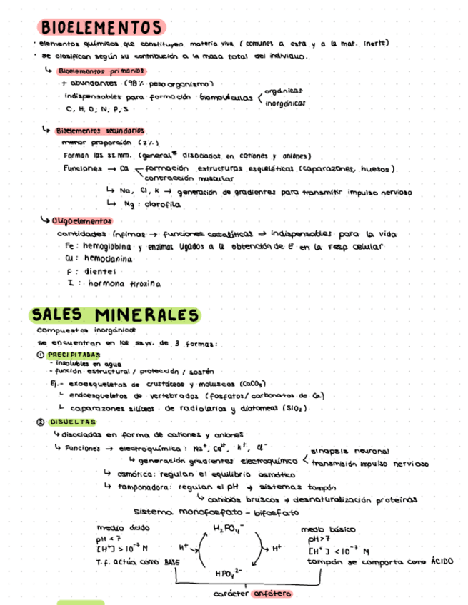 Miniatura del documento 1.-Introduccion-bioelementos-sales-minerales-y-el-agua.pdf