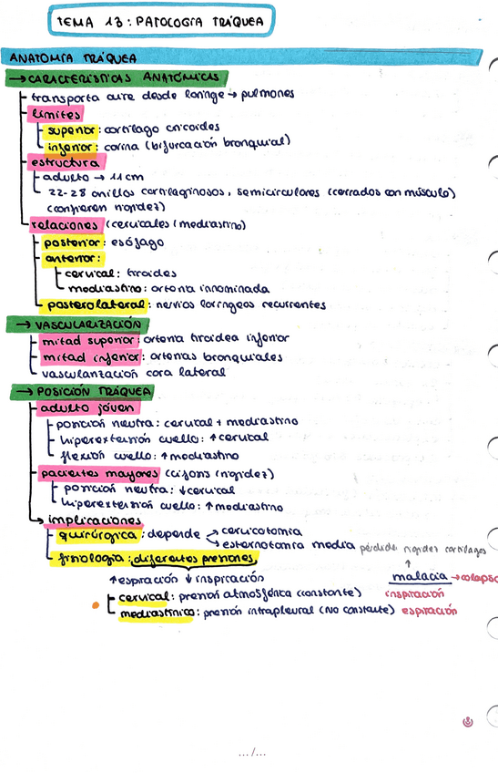 Miniatura del documento Patologia-de-la-traquea.pdf