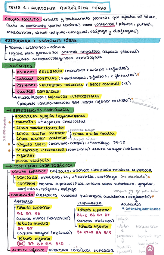 Miniatura del documento Patologia-quirurgica-del-torax.pdf
