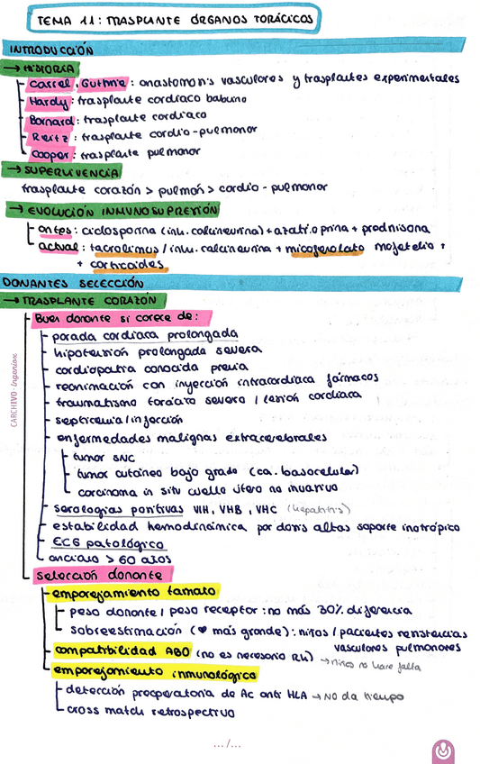 Miniatura del documento Trasplante-organos-toracicos.pdf