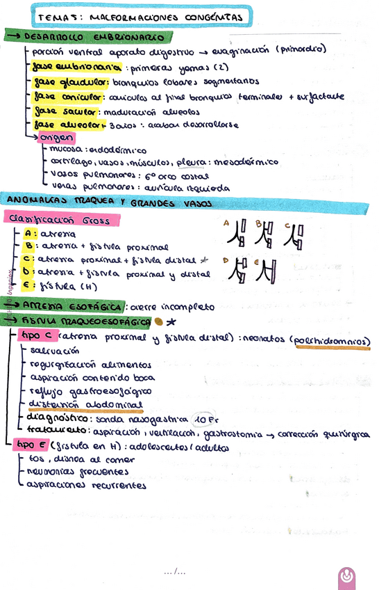 Miniatura del documento Malformaciones-congenitas.pdf