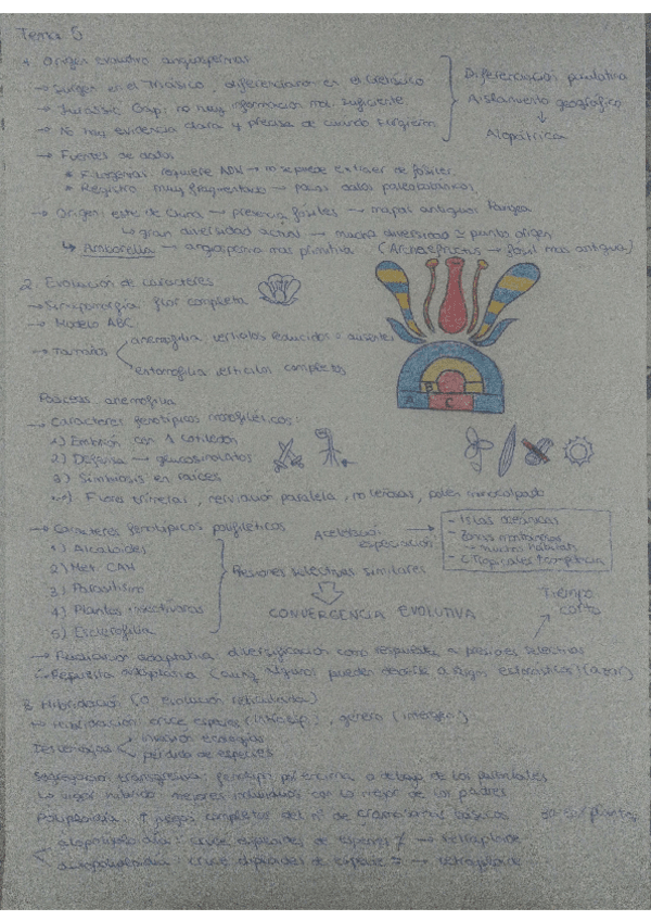 Miniatura del documento tema-5-6-7.pdf