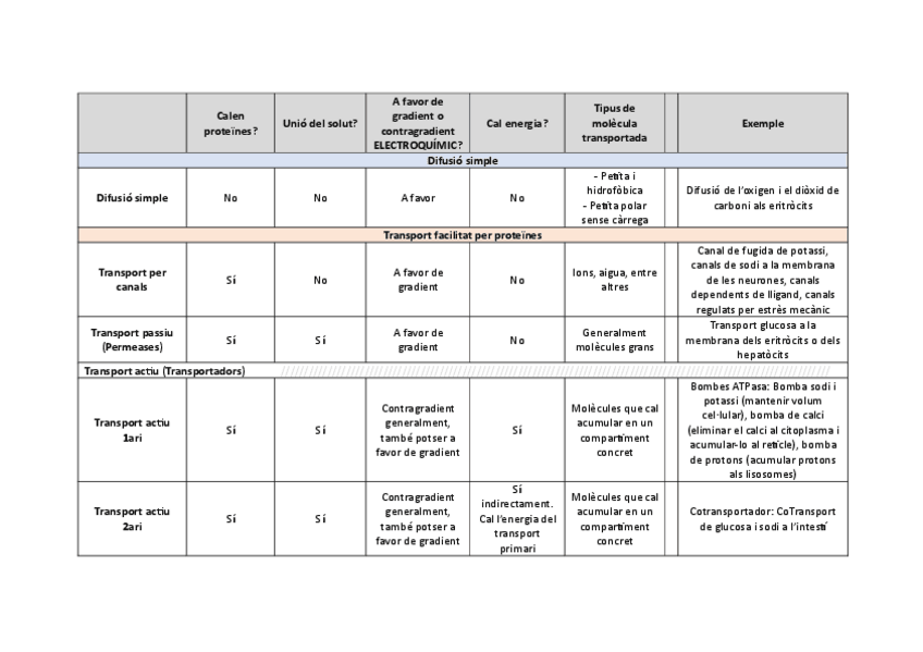 Miniatura del documento Taula-resum-transport-completada.pdf