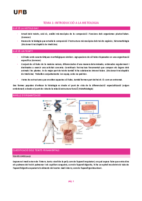 Miniatura del documento Histologia-apunts-tot.pdf