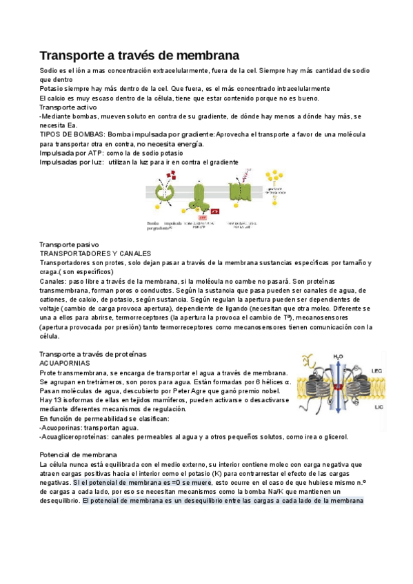 Miniatura del documento Tema-4-BIOCEL.pdf