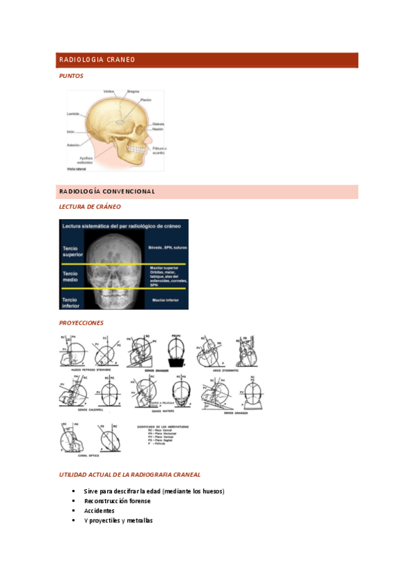 Miniatura del documento Radiologia-craneo-cosas-importantes.pdf