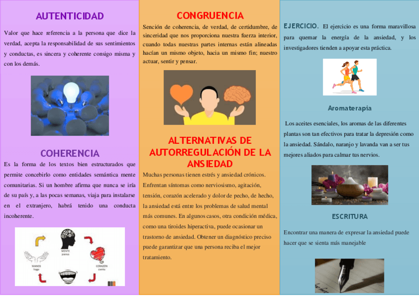 Miniatura del documento Folleto-ANCIEDAD.pdf