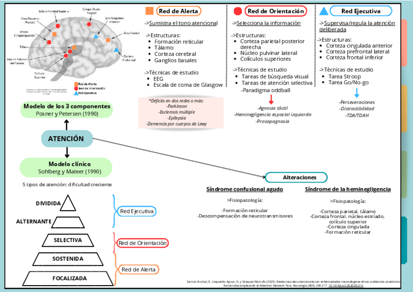 Miniatura del documento esquema-Atencion.pdf