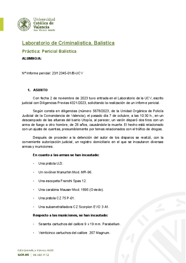 Miniatura del documento INFORME-PERICIAL.pdf