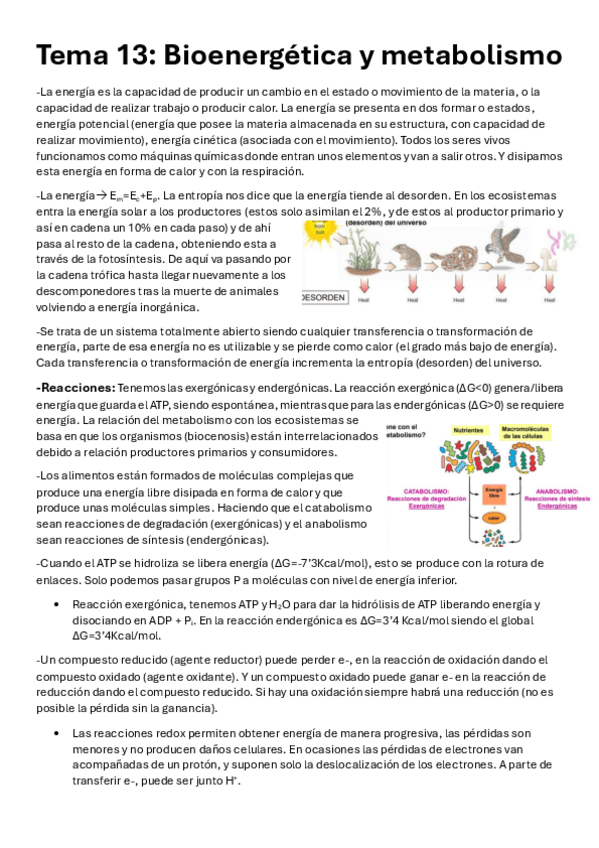 Miniatura del documento Tema-13-18-Biologia.pdf