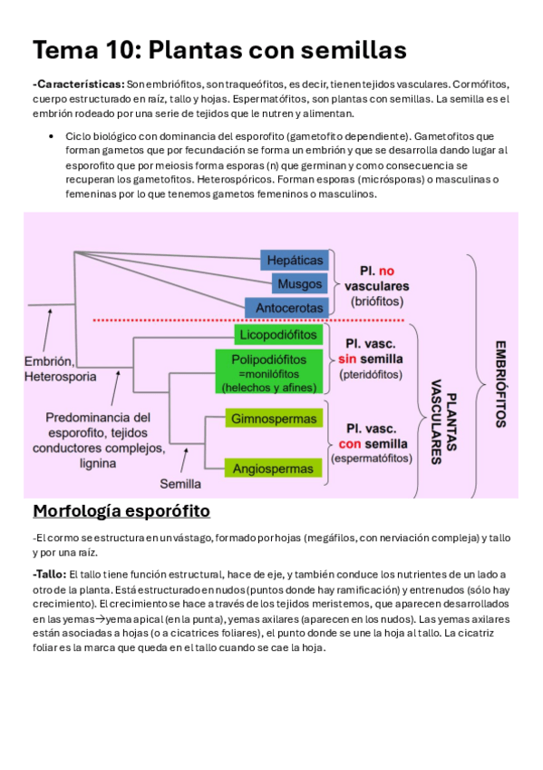 Miniatura del documento Temas-9-12-botanica.pdf