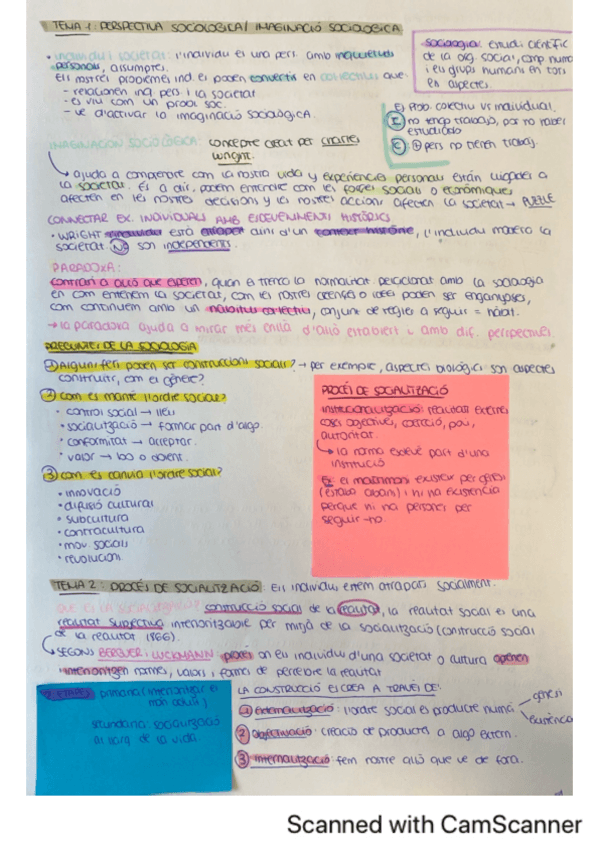 Miniatura del documento Resumen-sociologia.pdf
