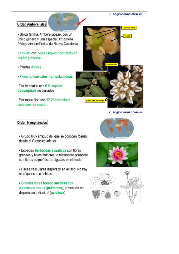 Miniatura del documento 15-familias.pdf