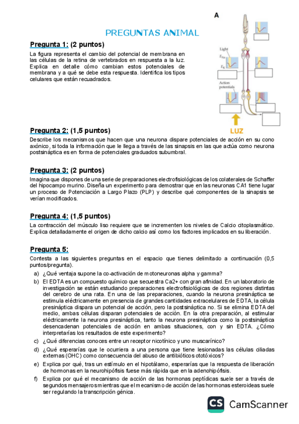 Miniatura del documento Preguntas-examenes-FA.pdf