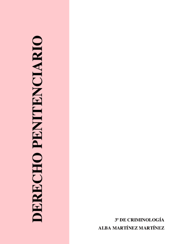 Miniatura del documento CONJUNTO-TEMAS-DERECHO-PENITENCIARIO-3o.pdf