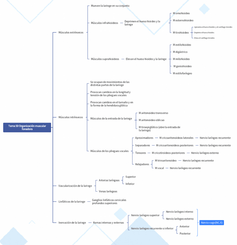 Miniatura del documento Tema-50-mapa-conceptual.pdf