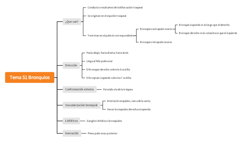 Miniatura del documento Tema-51-mapa-conceptual.pdf