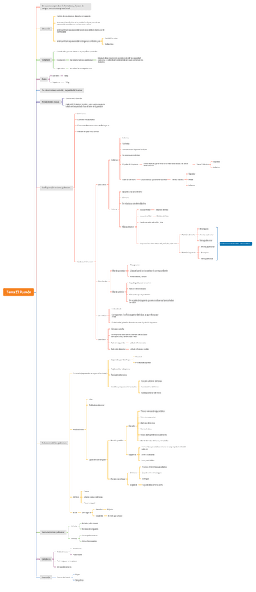 Miniatura del documento Tema-52-mapa-conceptual.pdf