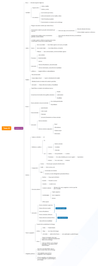 Miniatura del documento Tema-55-mapa-conceptual.pdf