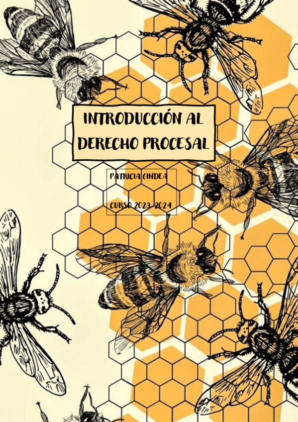 Miniatura del documento Temas-Intro-Procesal-TODOS.pdf