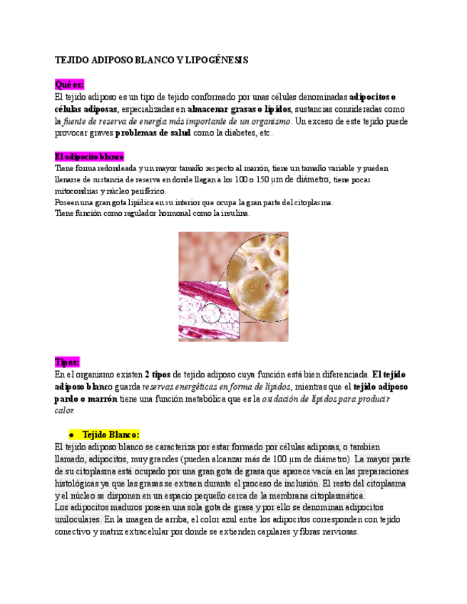 Miniatura del documento Trabajo-Biologia.pdf