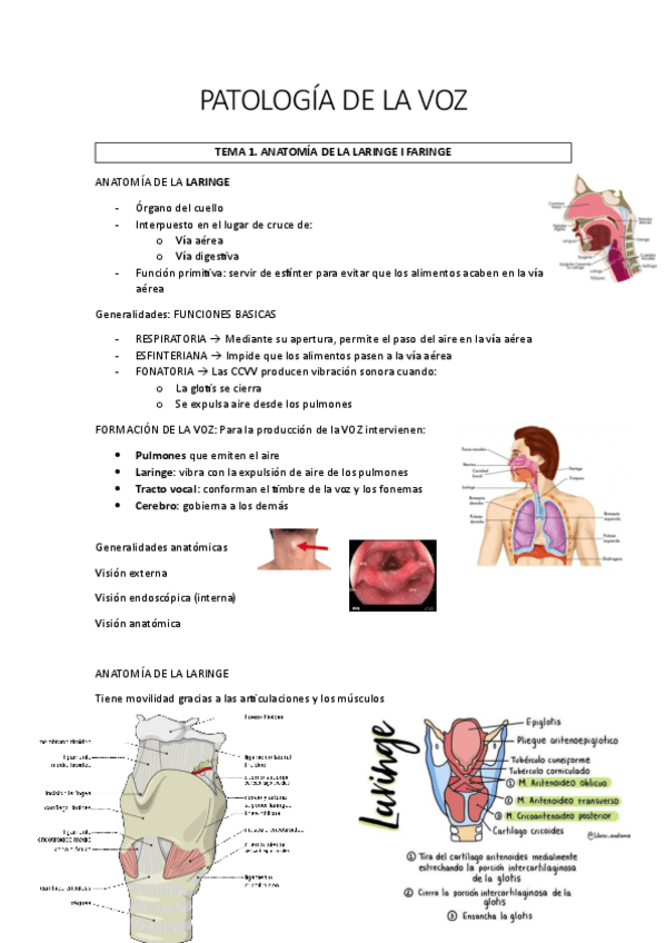 Miniatura del documento PATOLOGIA-DE-LA-VOZ.pdf