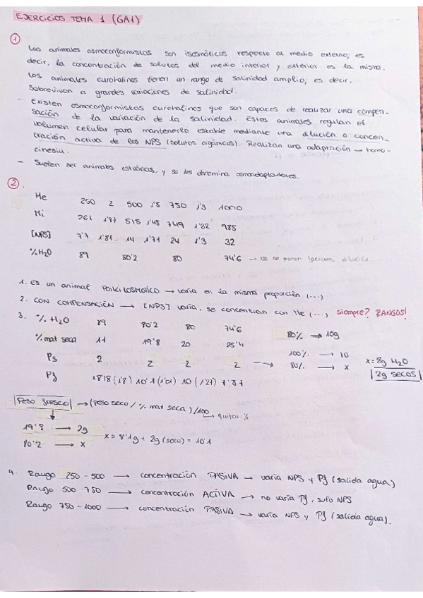 Miniatura del documento Ejercicios-y-GAs.pdf