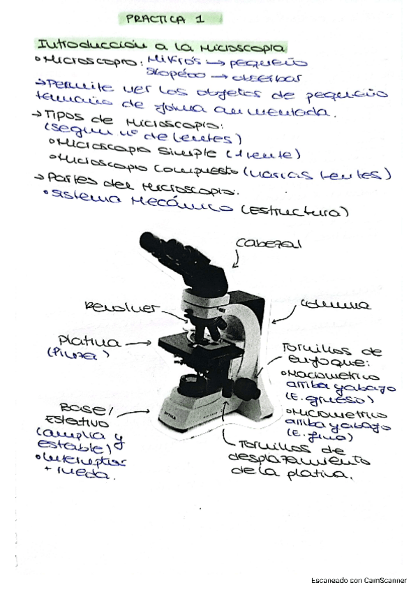 Miniatura del documento APUNTES-PRACTICAS-BIOLOGIA-GENERAL.pdf