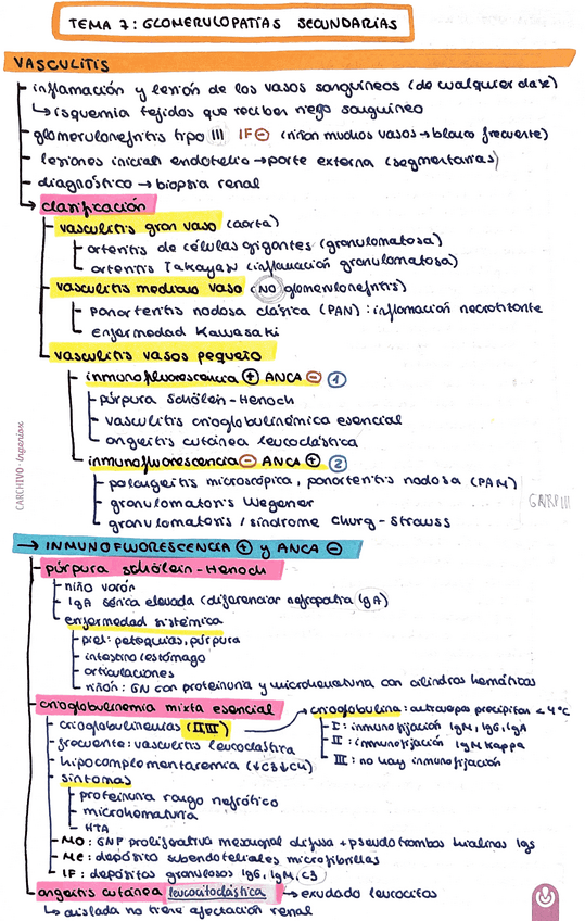 Miniatura del documento Glomerulopatias-secundarias.pdf