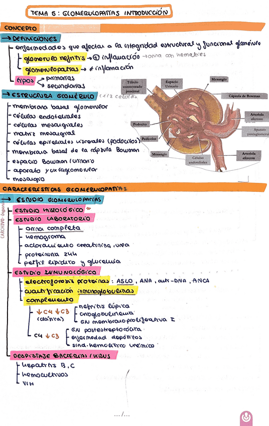 Miniatura del documento Introduccion-glomerulopatias.pdf
