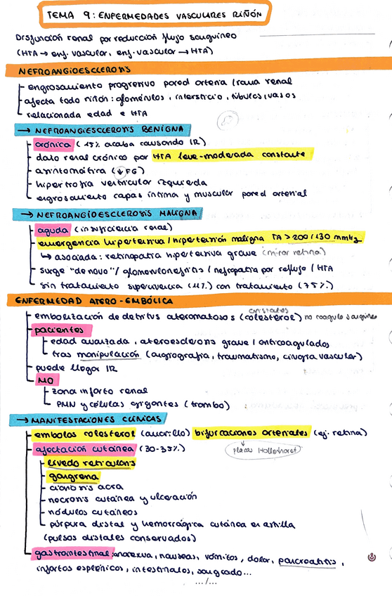 Miniatura del documento Enfermedades-vasculares-del-rinon.pdf