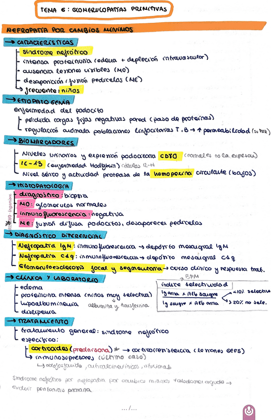 Miniatura del documento Glomerulopatias-primitivas.pdf