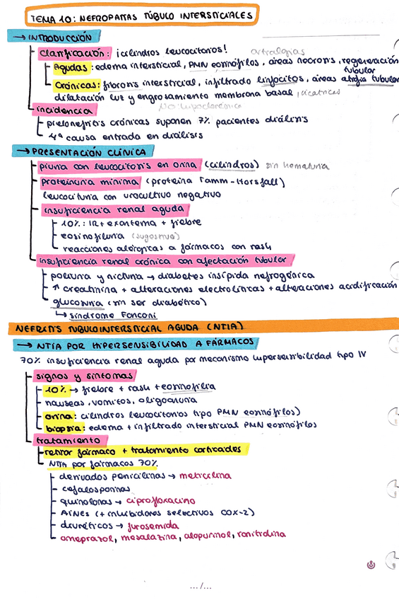Miniatura del documento Nefropatias-tubulointesticiales.pdf