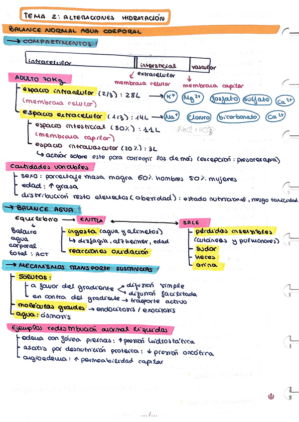Miniatura del documento Alteraciones-hidratacion.pdf
