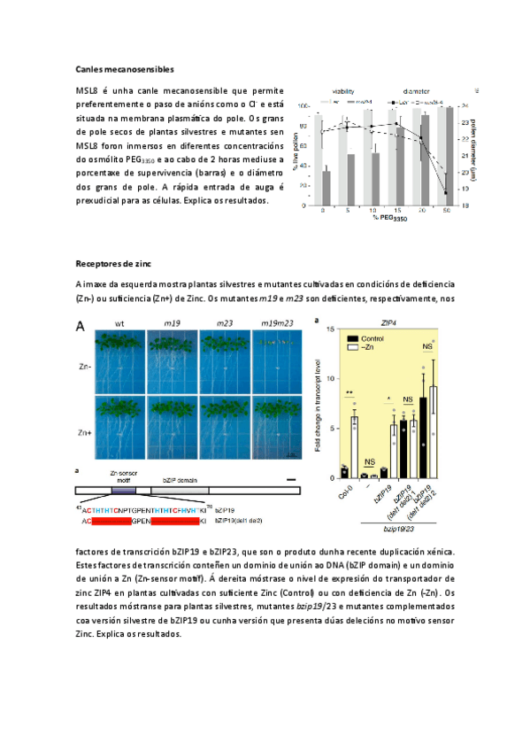 Miniatura del documento Fisio-Vex-Seminario-11-Receptores-II.pdf