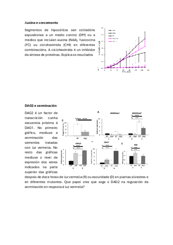 Miniatura del documento Fisio-Vex-Seminario-12-Desenvolvemento.pdf