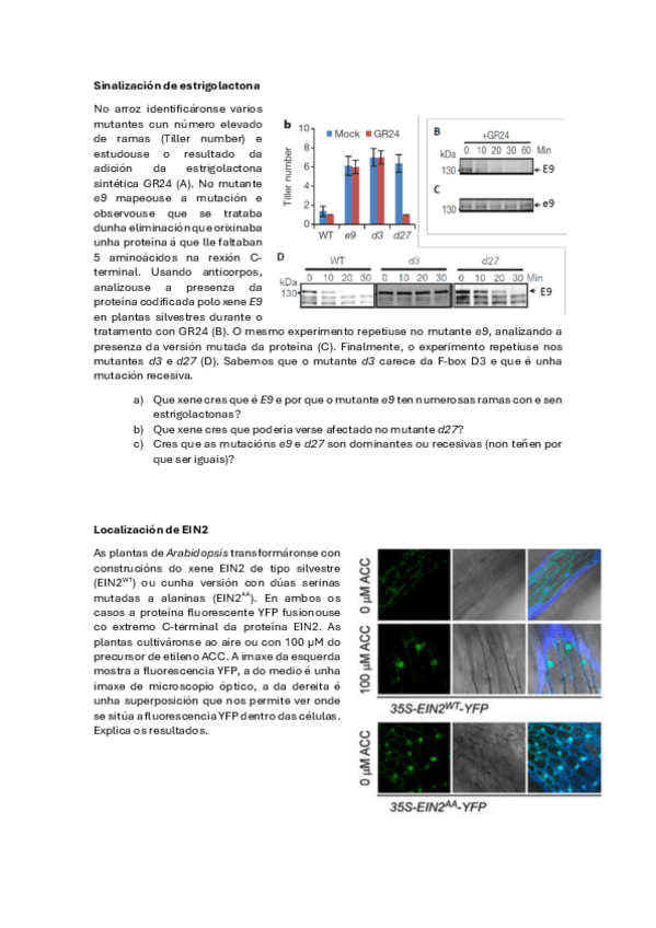 Miniatura del documento Fisio-Vex-Seminario-9-Mensaxeiros-II.pdf