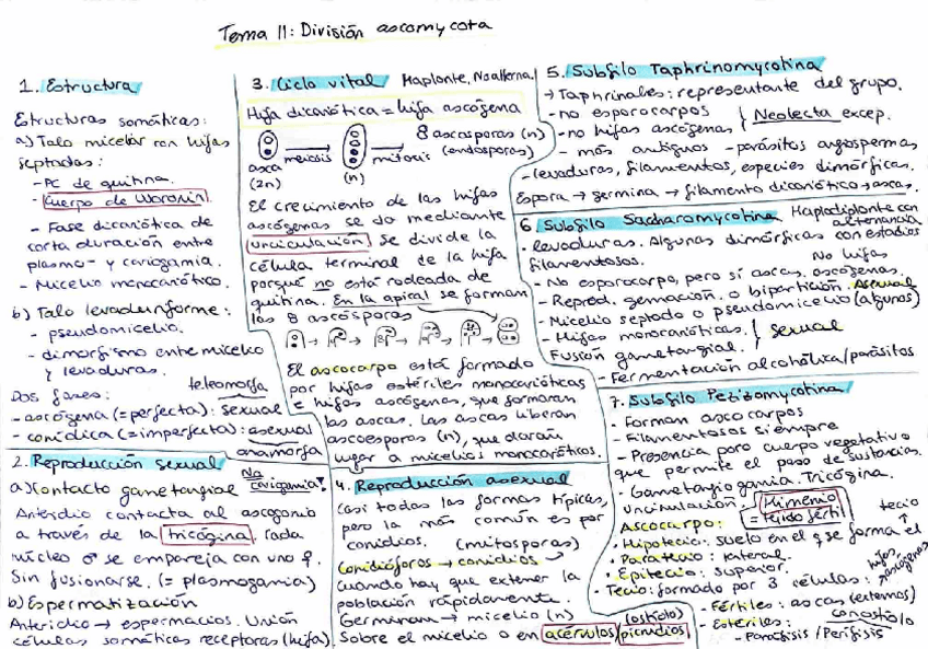 Miniatura del documento tema-11-resum-1-cara.pdf