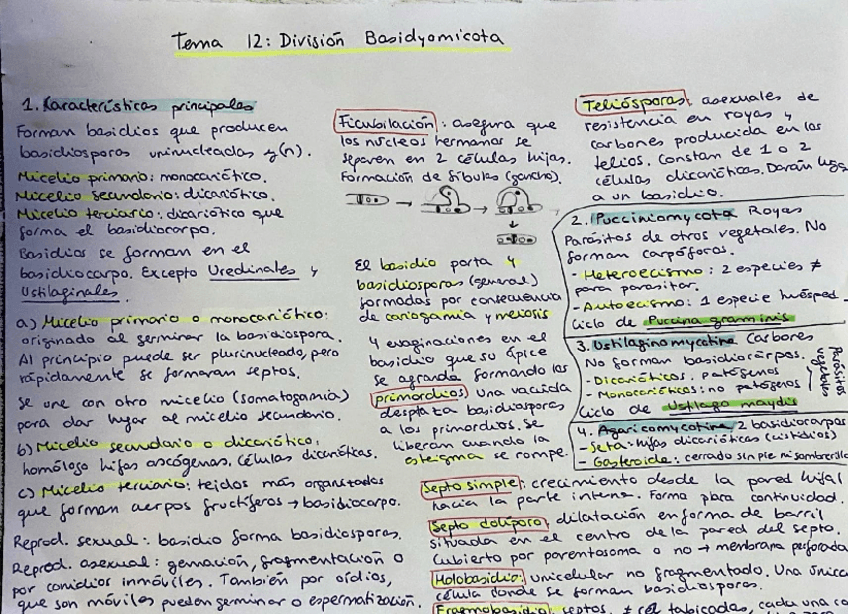 Miniatura del documento tema-12-resum-1-cara.pdf