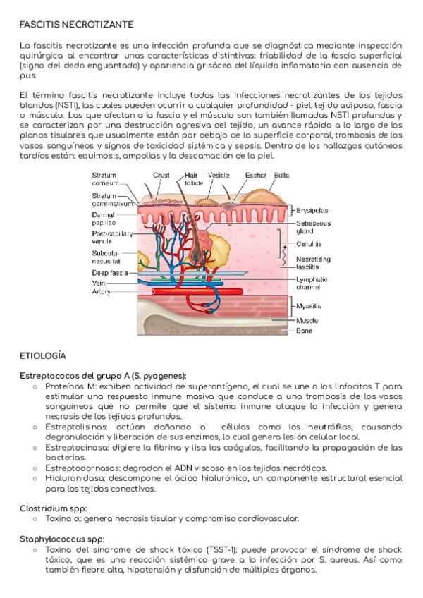 Miniatura del documento Fascitis-necrotizante.pdf