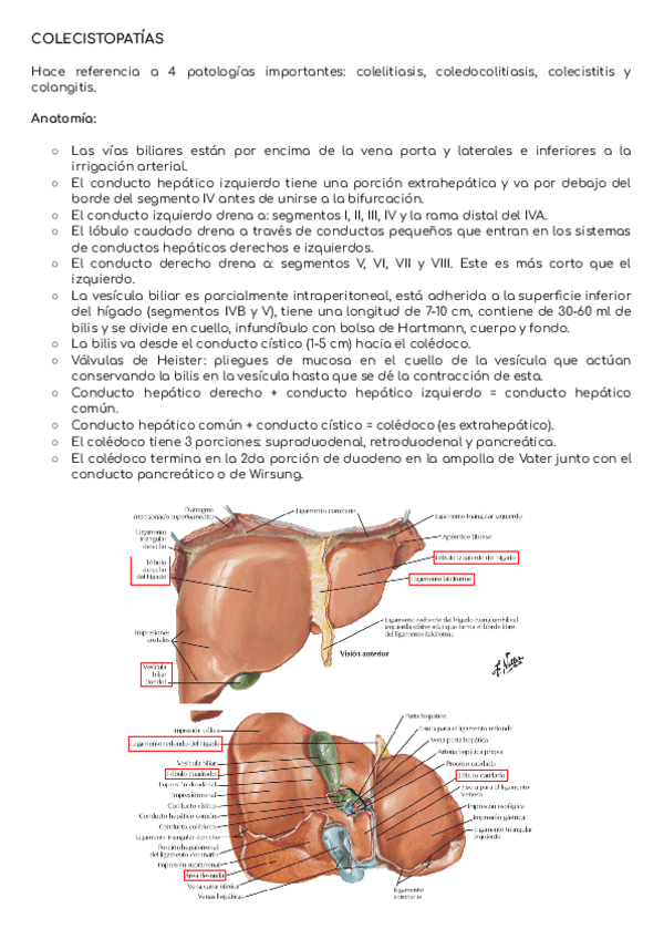 Miniatura del documento Colecistopatias.pdf